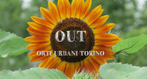 Orti-urbani-Torino
